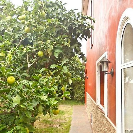 Casa Buganvilla Los Realejos Esterno foto